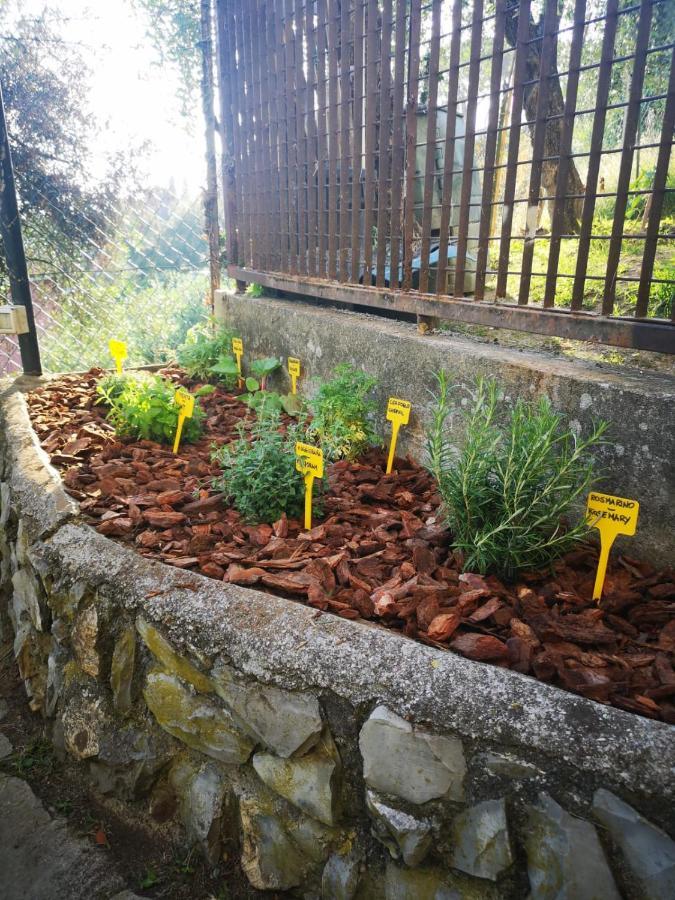Ferienwohnung Il Leudo Lavagna Exterior foto